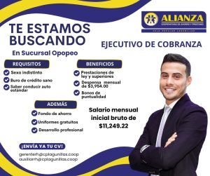Ejecutivo de Cobranza (Sucursal Opopeo)