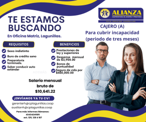 Cajero para cubrir incapacidad (Oficina Matriz Lagunillas)