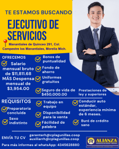 Ejecutivo de Servicios ( Sucursal Morelia Pedregal)